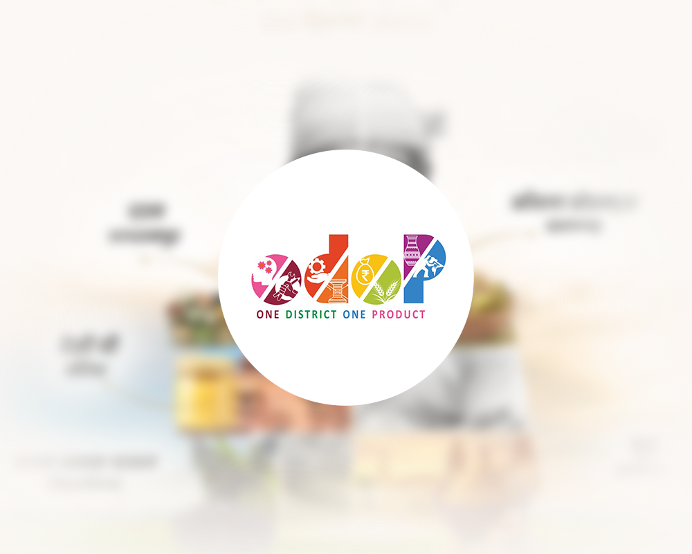 ODOP (One District One Product)